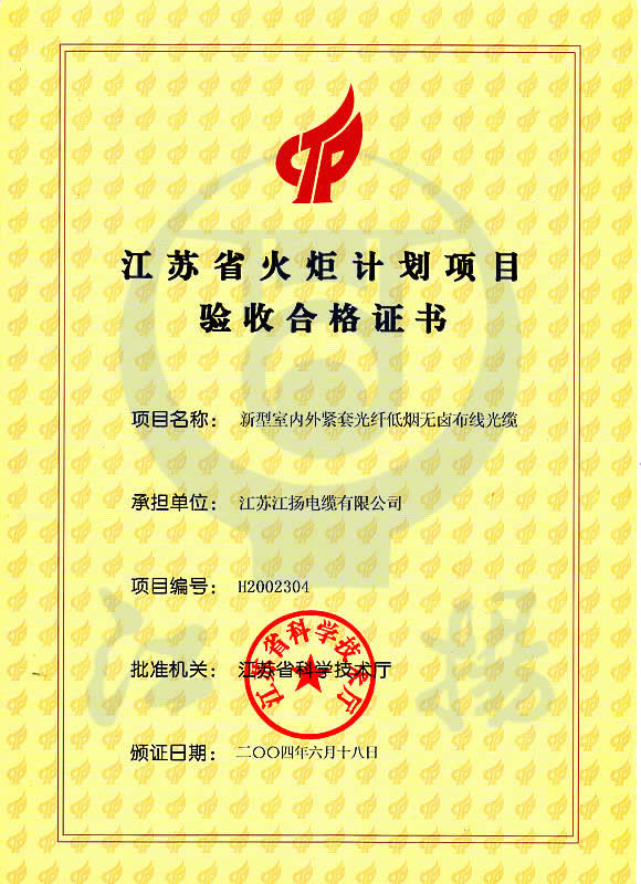 江蘇省火炬計劃項目驗收合格證書